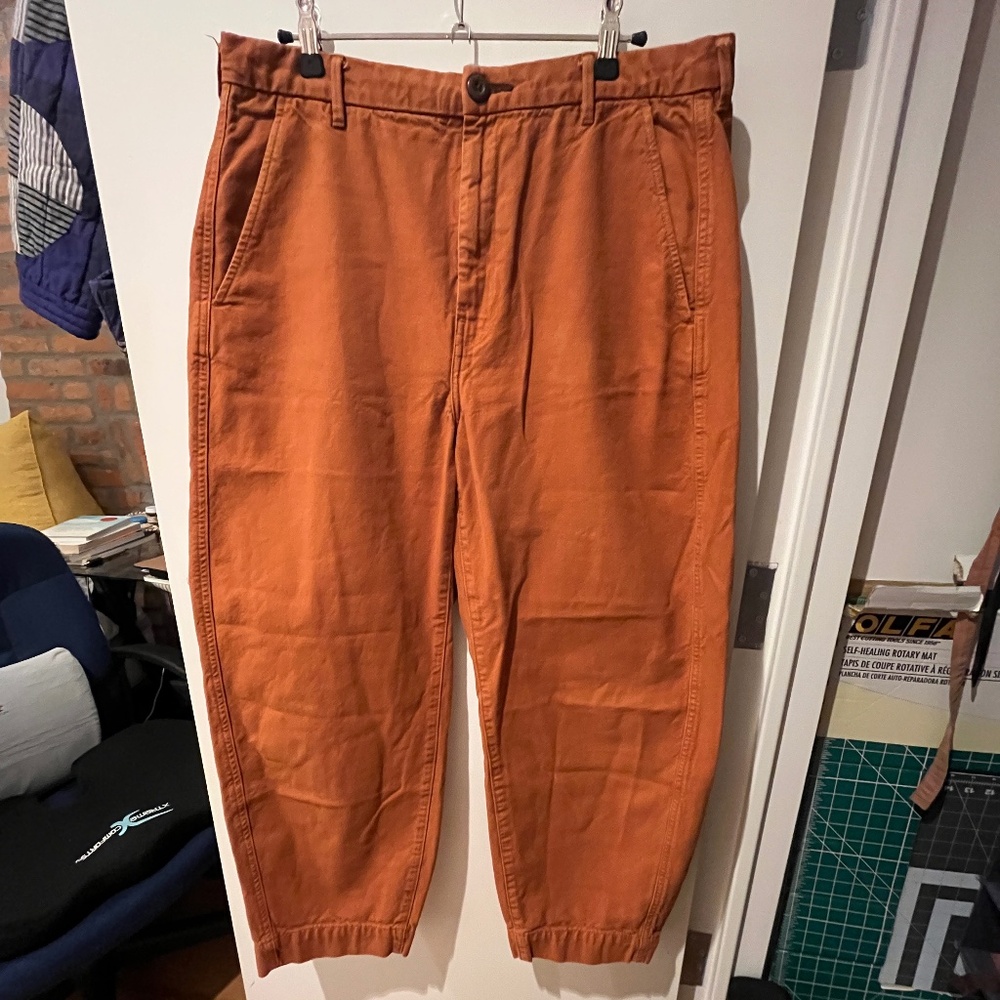 Everlane 100% Cotton Size 12 barrel leg autumn burnt orange pants